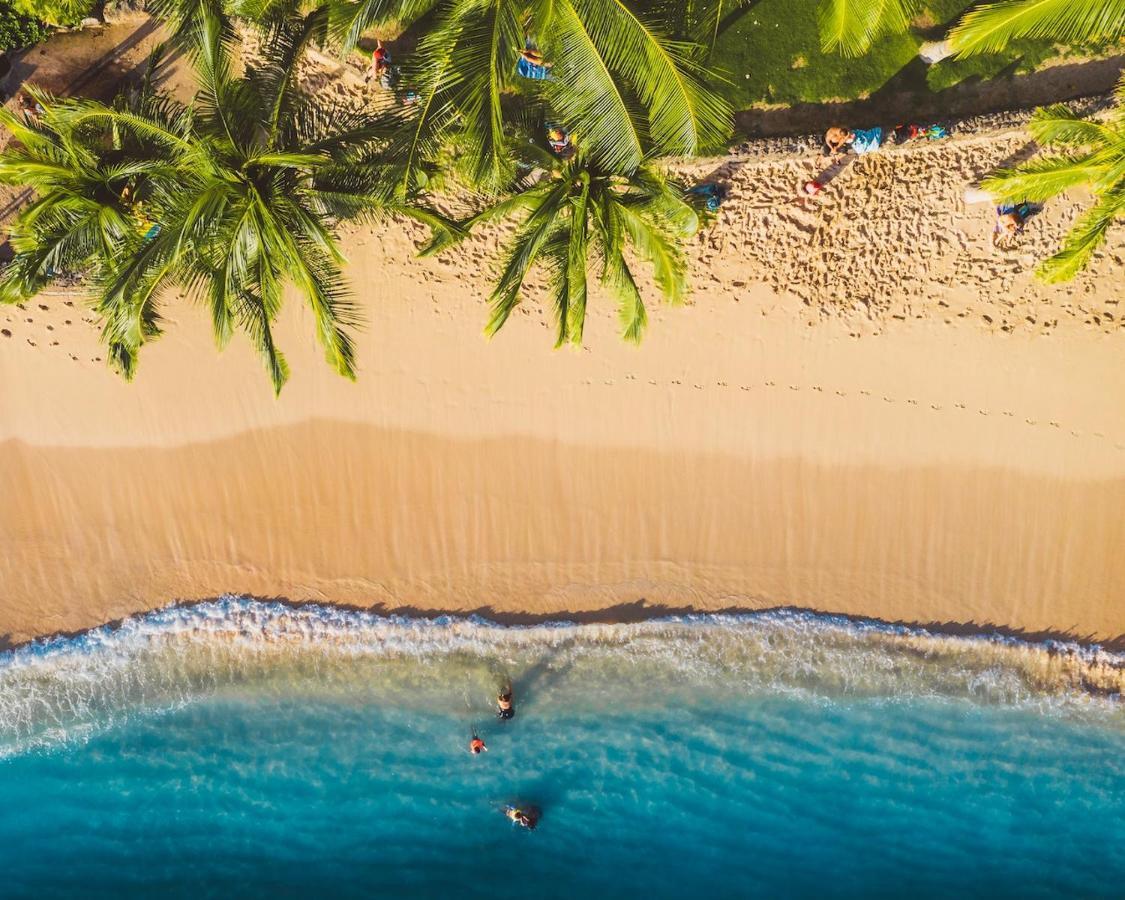 Imagine972 Martinique Bateau Hotel A Quai Le Marin 3 Cabines 3 Salles De Bains 6 Pers Maxi Eksteriør bilde