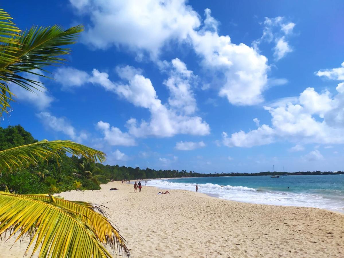Imagine972 Martinique Bateau Hotel A Quai Le Marin 3 Cabines 3 Salles De Bains 6 Pers Maxi Eksteriør bilde