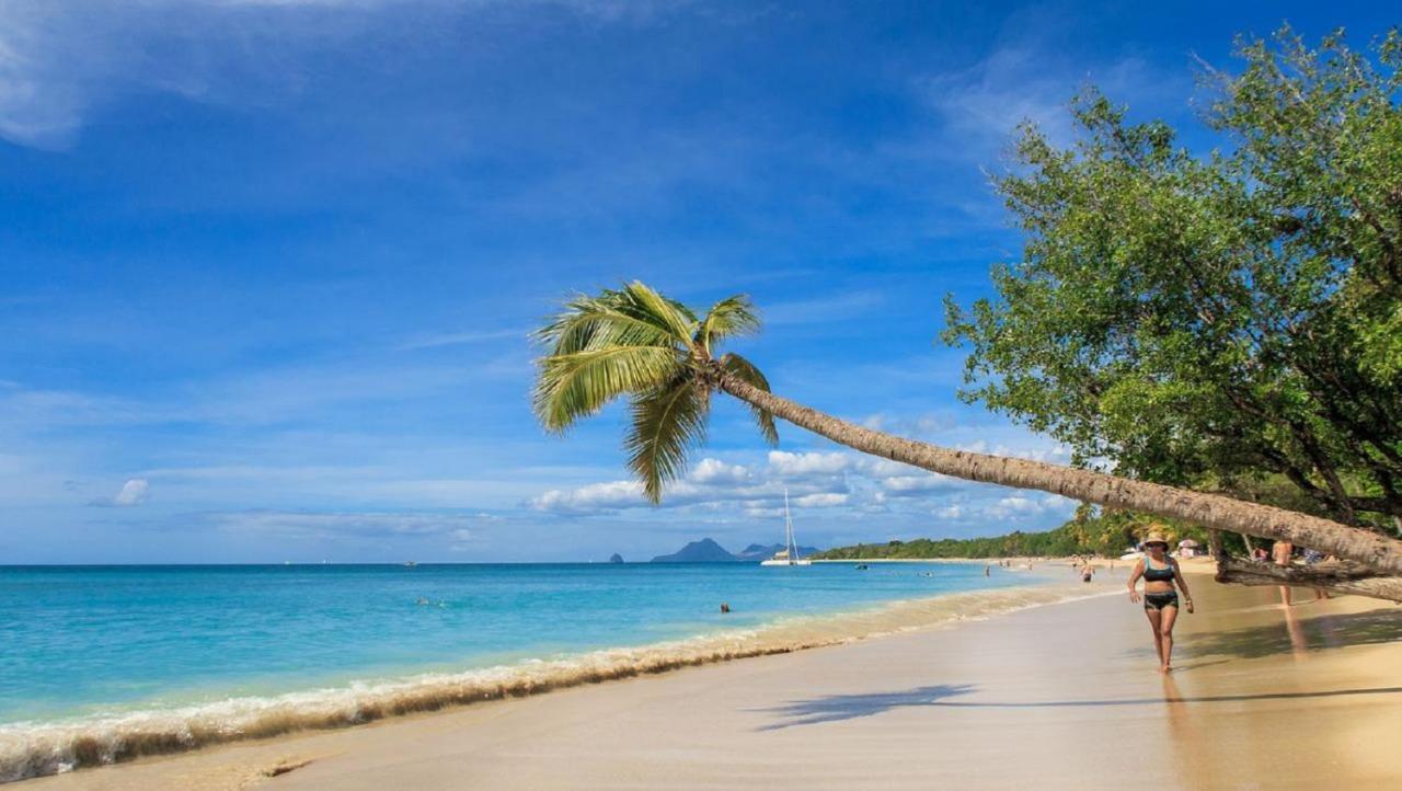 Imagine972 Martinique Bateau Hotel A Quai Le Marin 3 Cabines 3 Salles De Bains 6 Pers Maxi Eksteriør bilde
