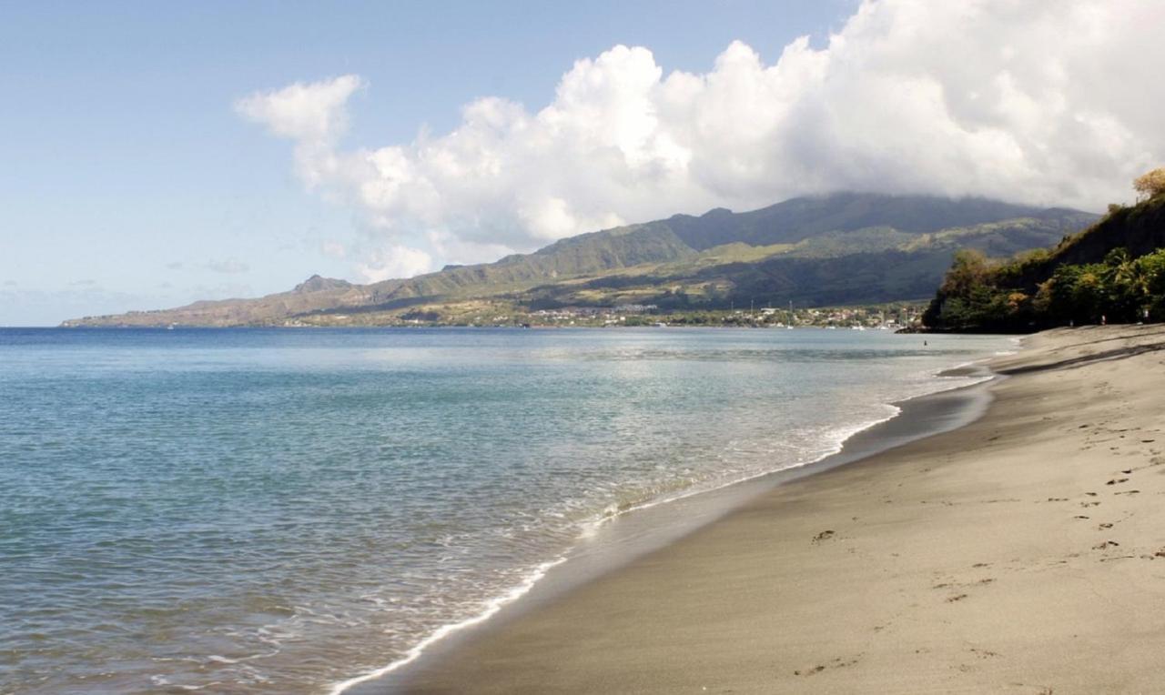 Imagine972 Martinique Bateau Hotel A Quai Le Marin 3 Cabines 3 Salles De Bains 6 Pers Maxi Eksteriør bilde